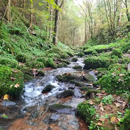 Heidi Away * Wildberg (Baden-Wurttemberg)