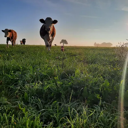 Apartment Heidi Away