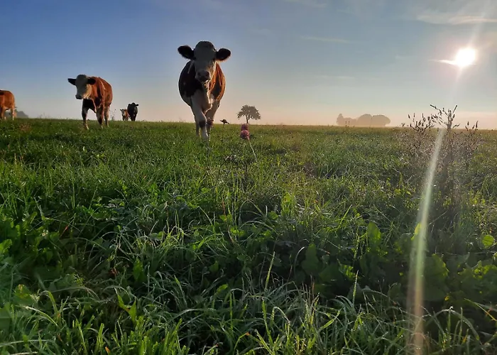 Διαμέρισμα Heidi Away